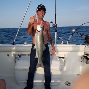 Meet your Posher, Ken